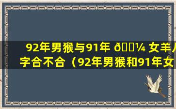 92年男猴与91年 🌼 女羊八字合不合（92年男猴和91年女羊生什么属相的宝 🦢 宝好）